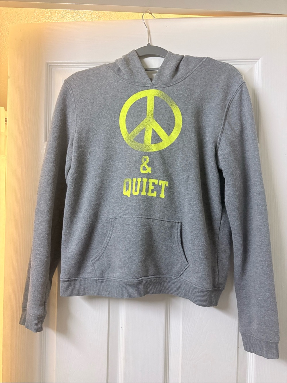 American Eagle Outfitters Gray hoodie “Peace and Quite”